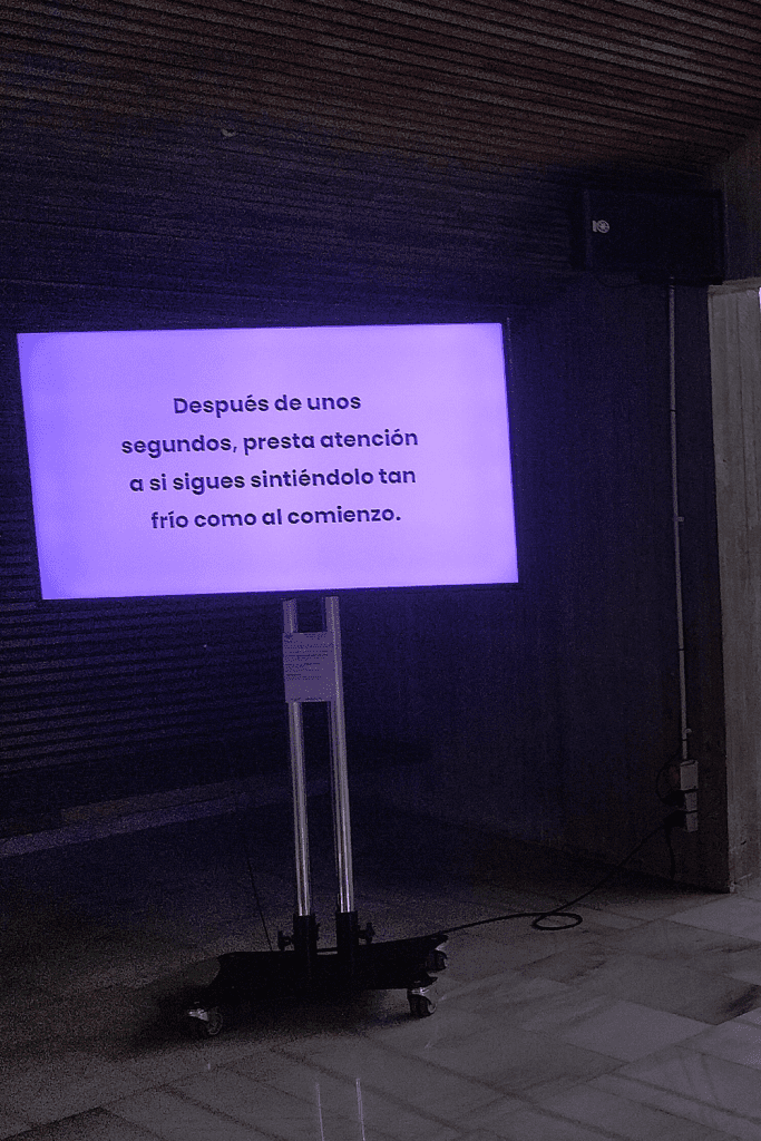 residencia-artistica_13